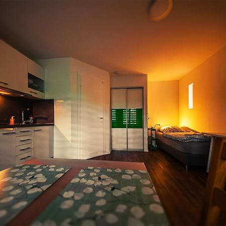 Gottwaldhaus-Freiberg-Apartment / A Kültér fotó